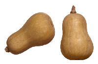 תמונה של דלורית