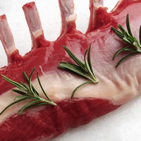 תמונה של טלה