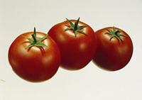 תמונה של עגבניות
