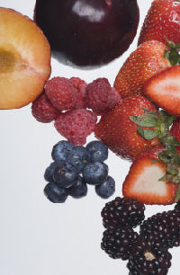 תמונה של פירות יער