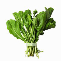 תמונה של רוקט