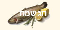 מתכונים קלים לחגים